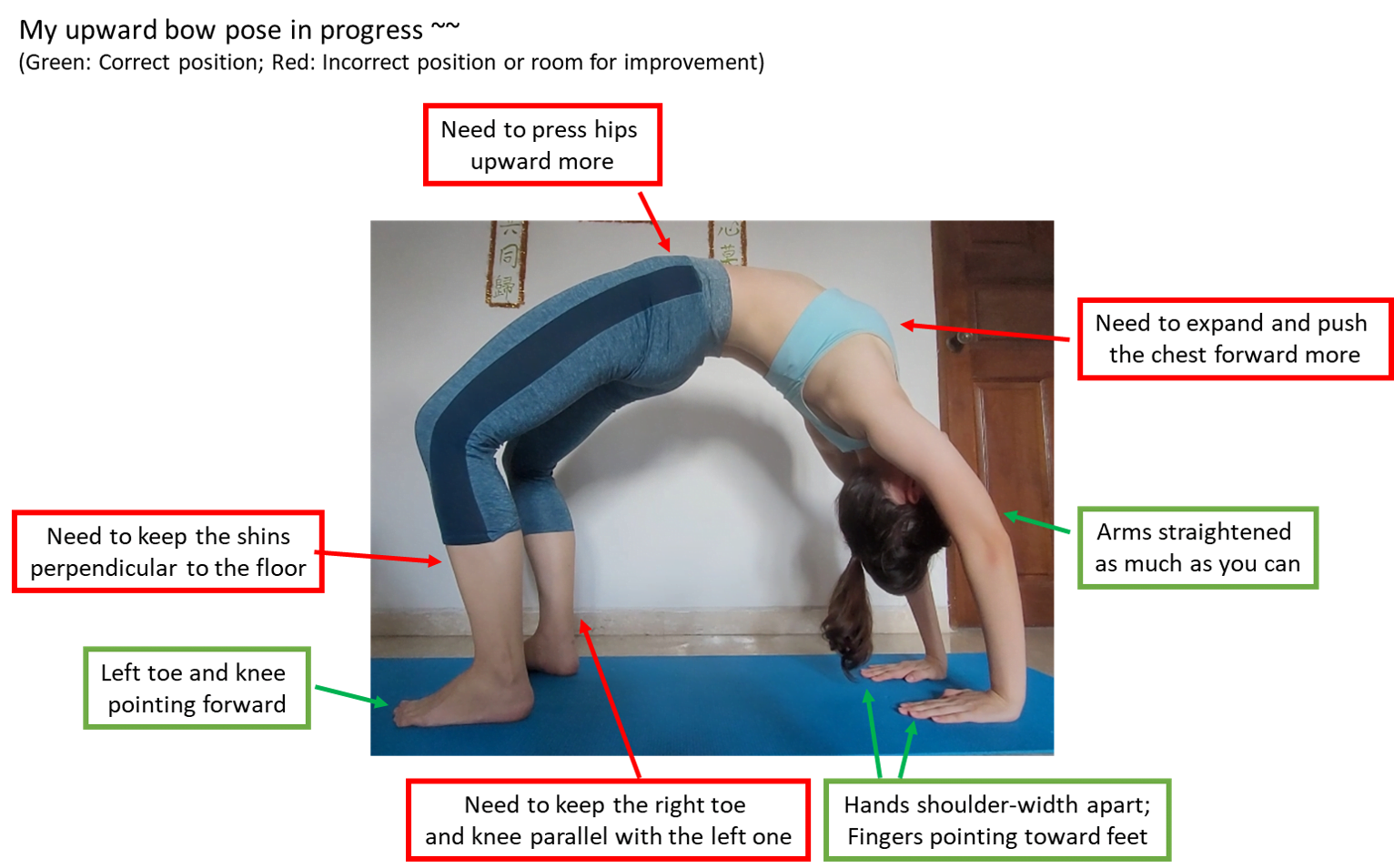 POTD: Pose of the Day Urdhva Dhanurasana (Upward Bow or Wheel Pose) with  straight legs — Riva G Yoga
