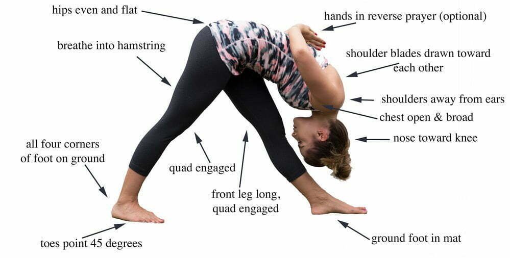 Feeling stretchy this week? Practice Prasarita Padottanasana with us at  Yogafurie - Yogafurie Bristol